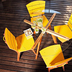 Cadeira Rio Pet Amarelo